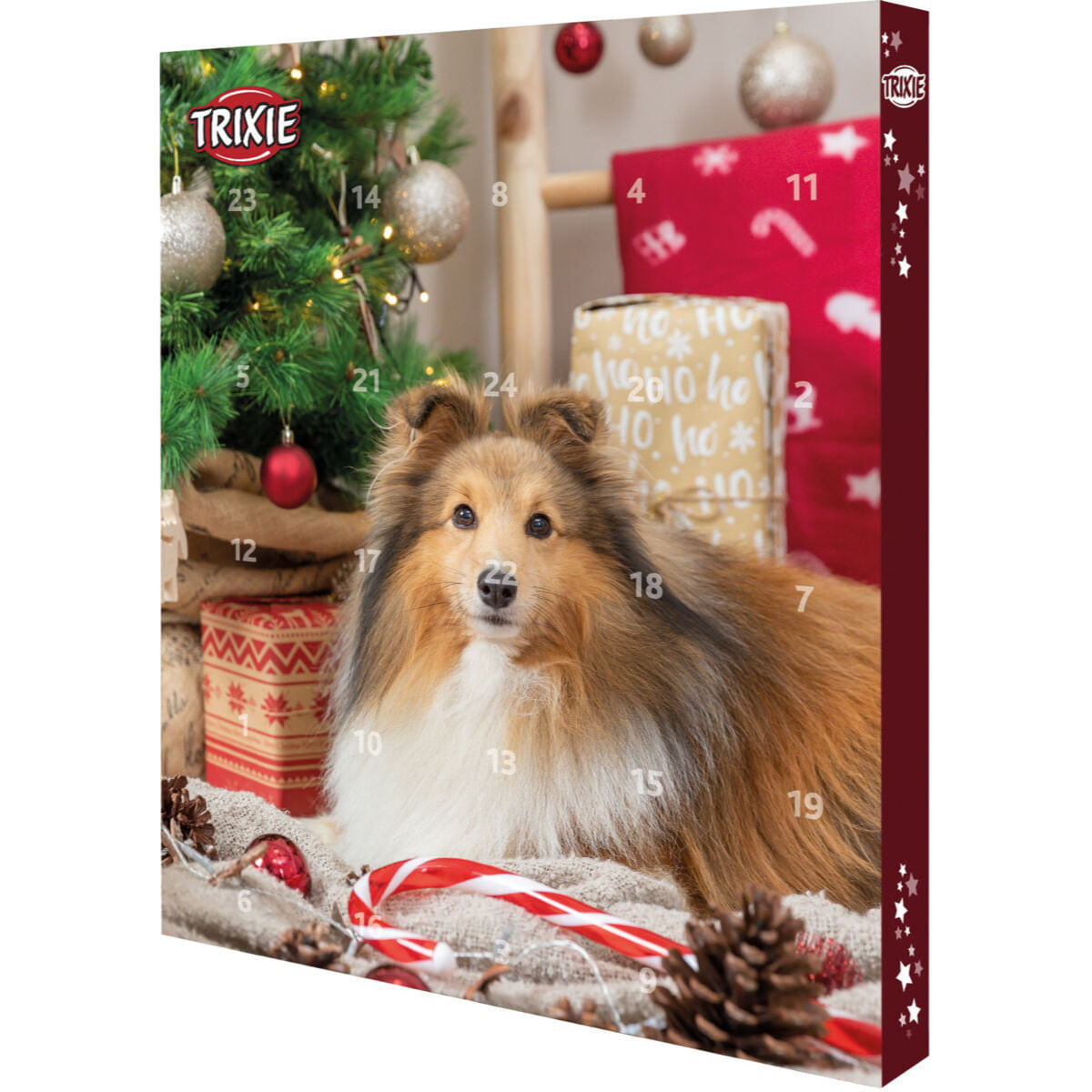 TRIXIE Christmas Advent Calendar, XS-XL, cutie recompense câini, 390g - 1 | YEO