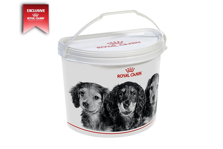 SET pentru Caini Royal Canin X-Small Adult