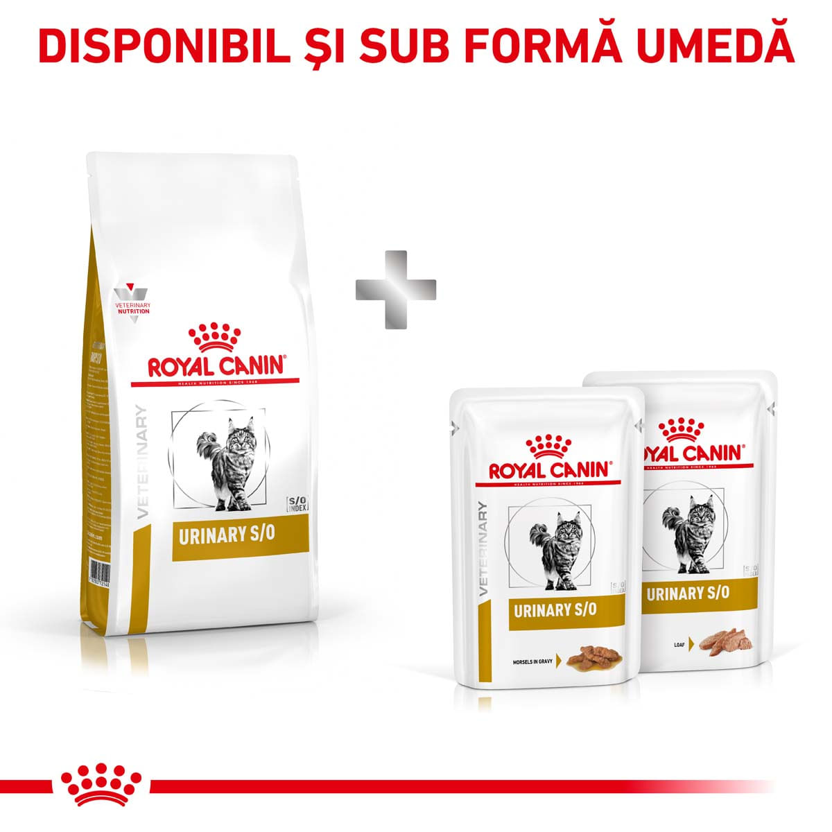 Royal Canin Felin Urinary S/O 1.5 kg