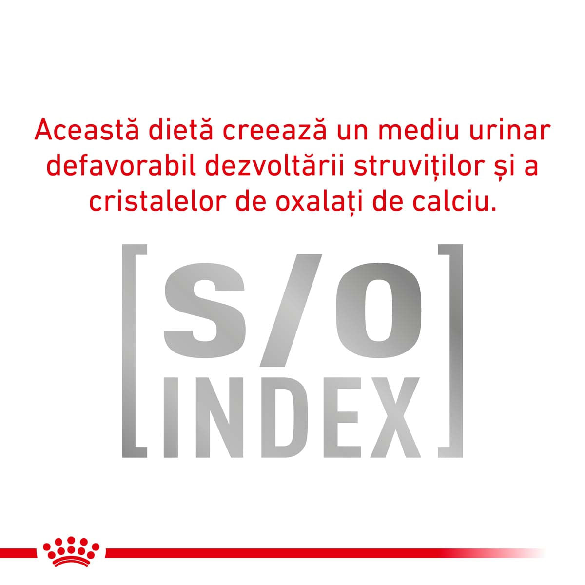 Royal Canin Felin Urinary S/O 400 g