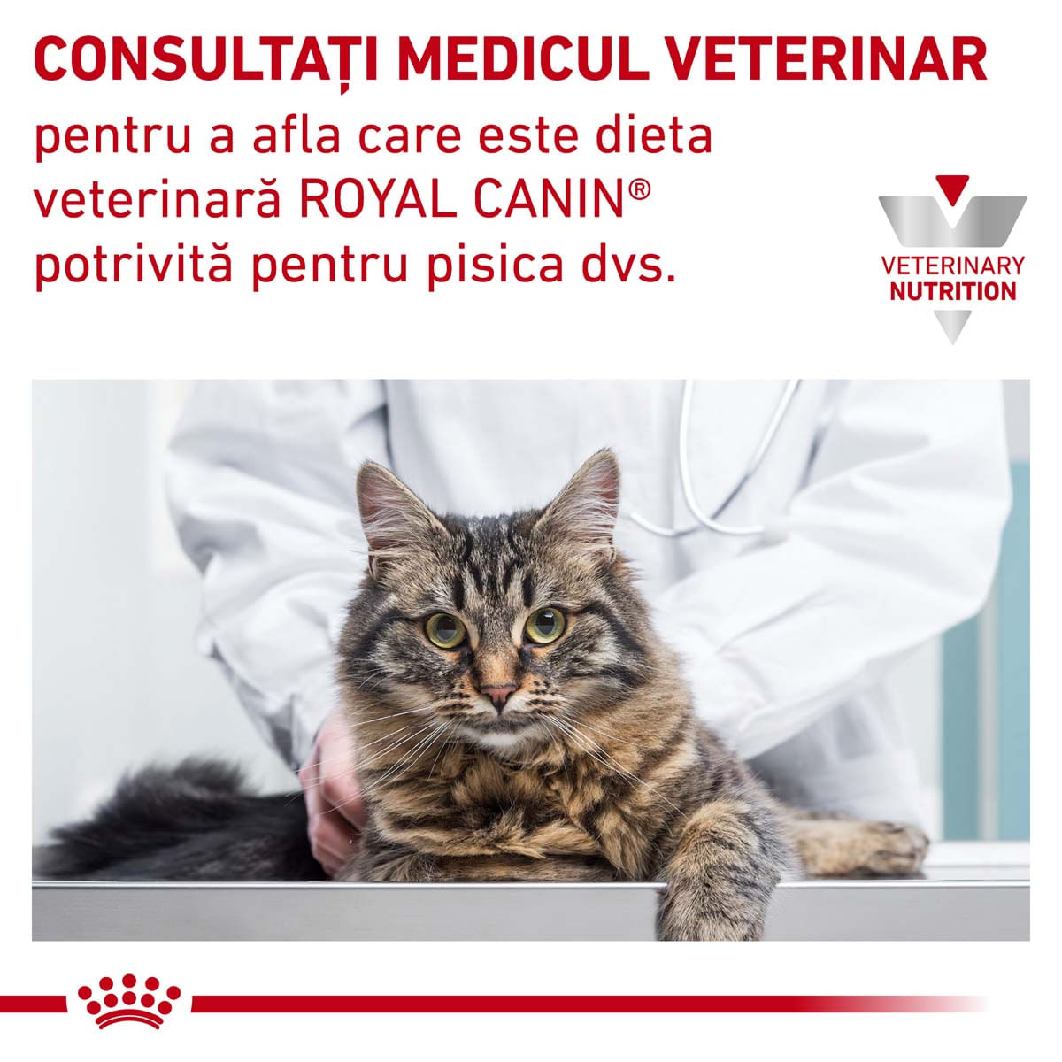 Royal Canin Felin Urinary S/O 400 g