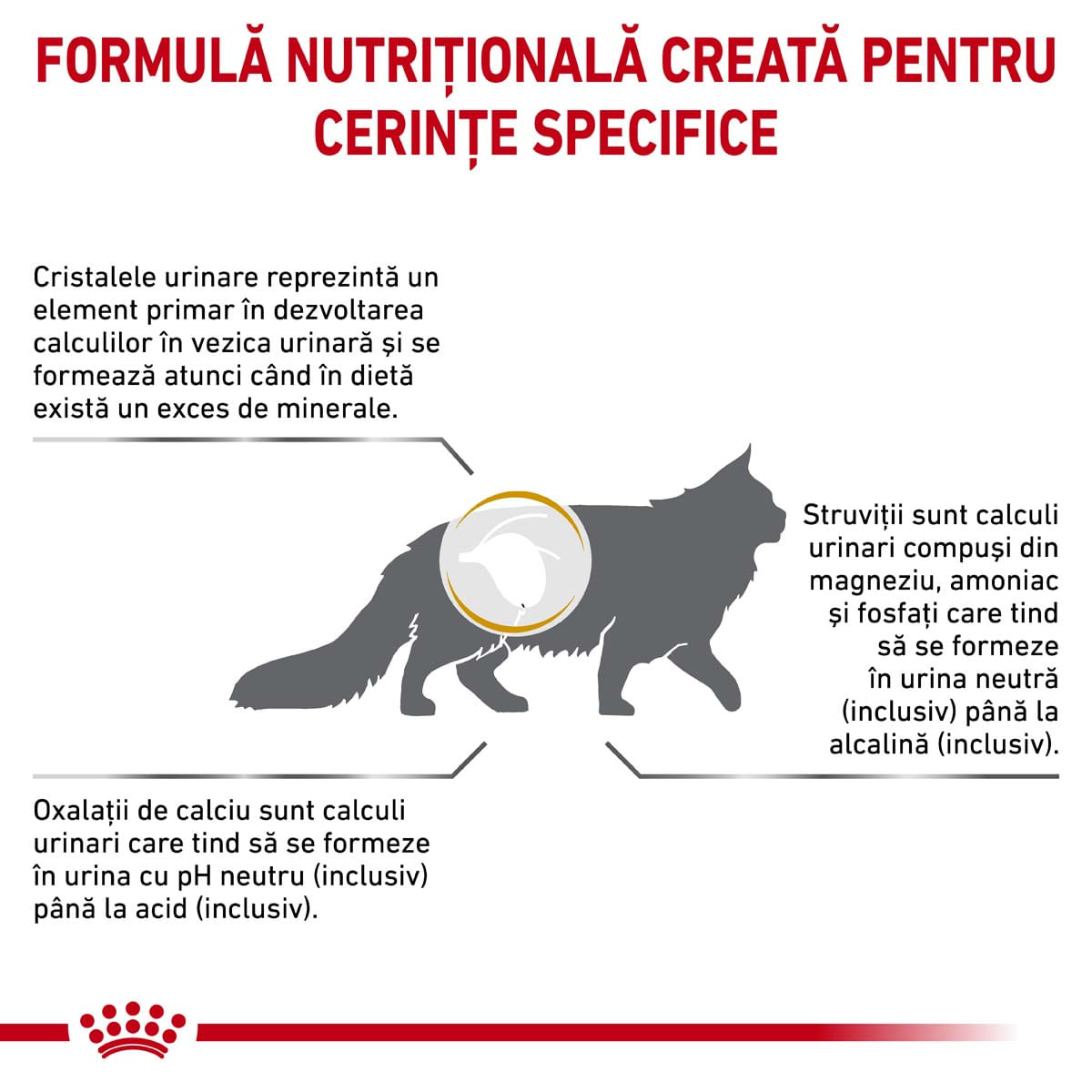 Royal Canin Felin Urinary S/O 400 g