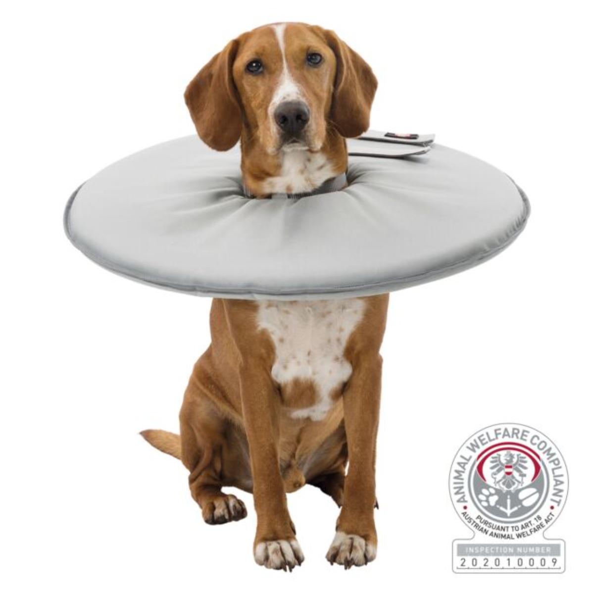 Aceasta este imaginea corespunzatoare acestui obiect