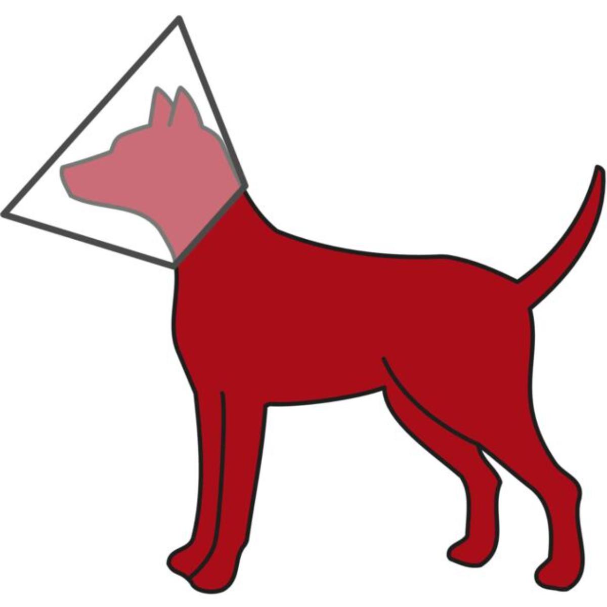 TRIXIE, guler protector câini și pisici, cu inchidere velcro, plastic TRIXIE, L, guler protector câini, cu inchidere velcro, plastic, 36-43x18cm