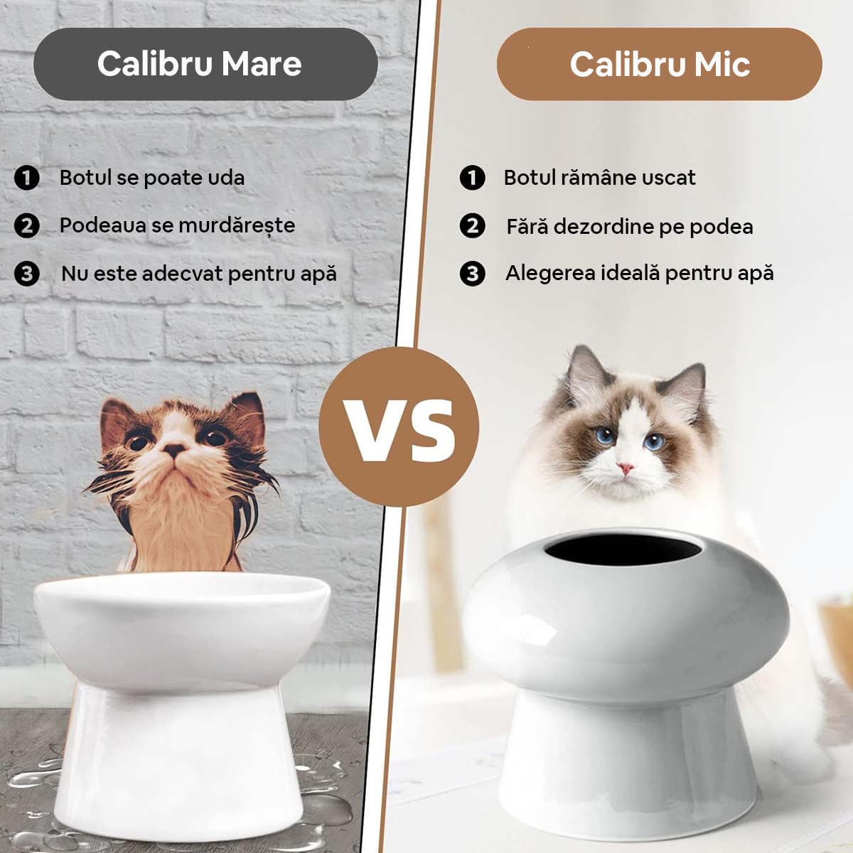 CINF Bol din Ceramică, Înalțat pentru Apă, Pisici, 380ml