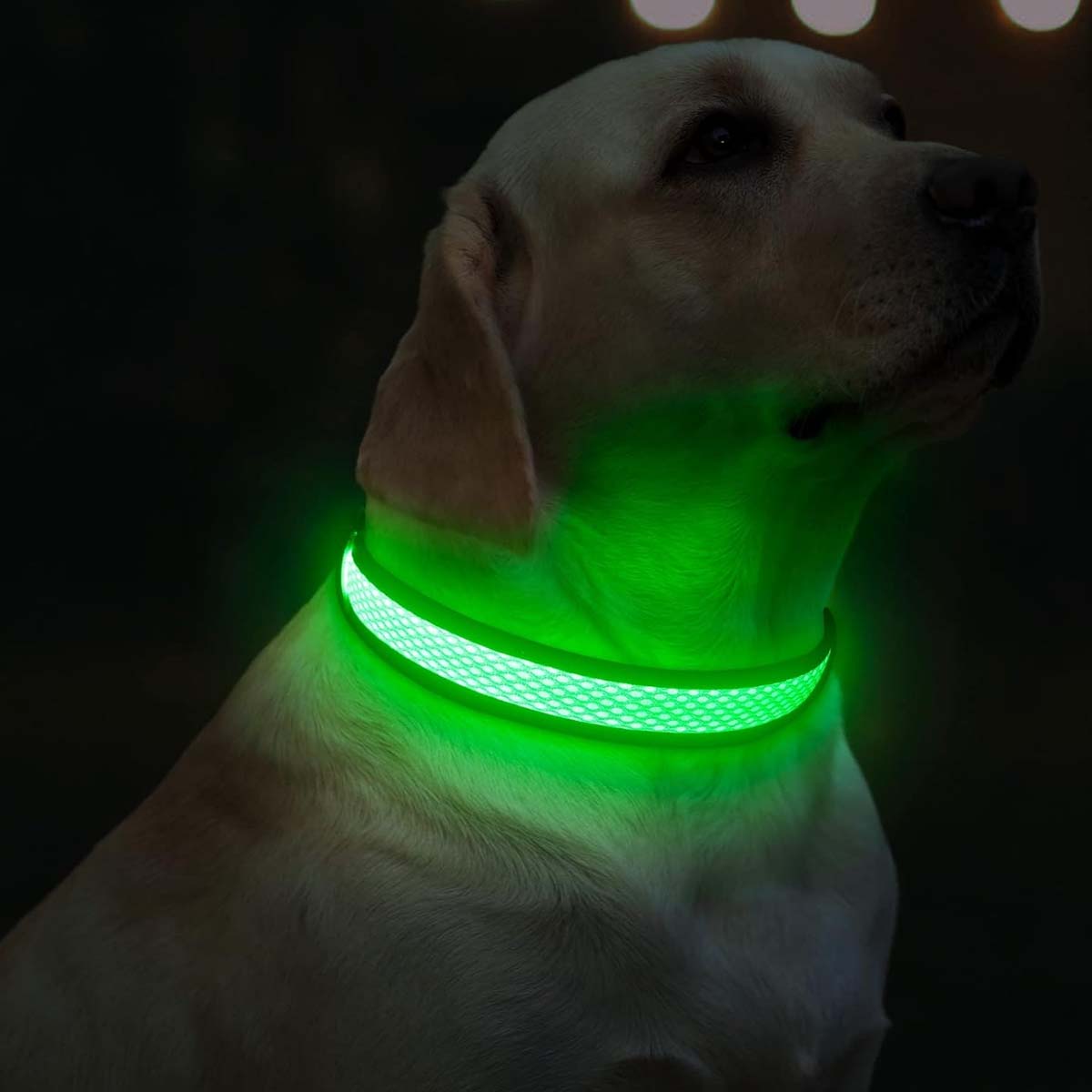 KPUPLOL Zgardă cu LED, Reîncarcabilă, Verde, L, 38 - 61 cm
