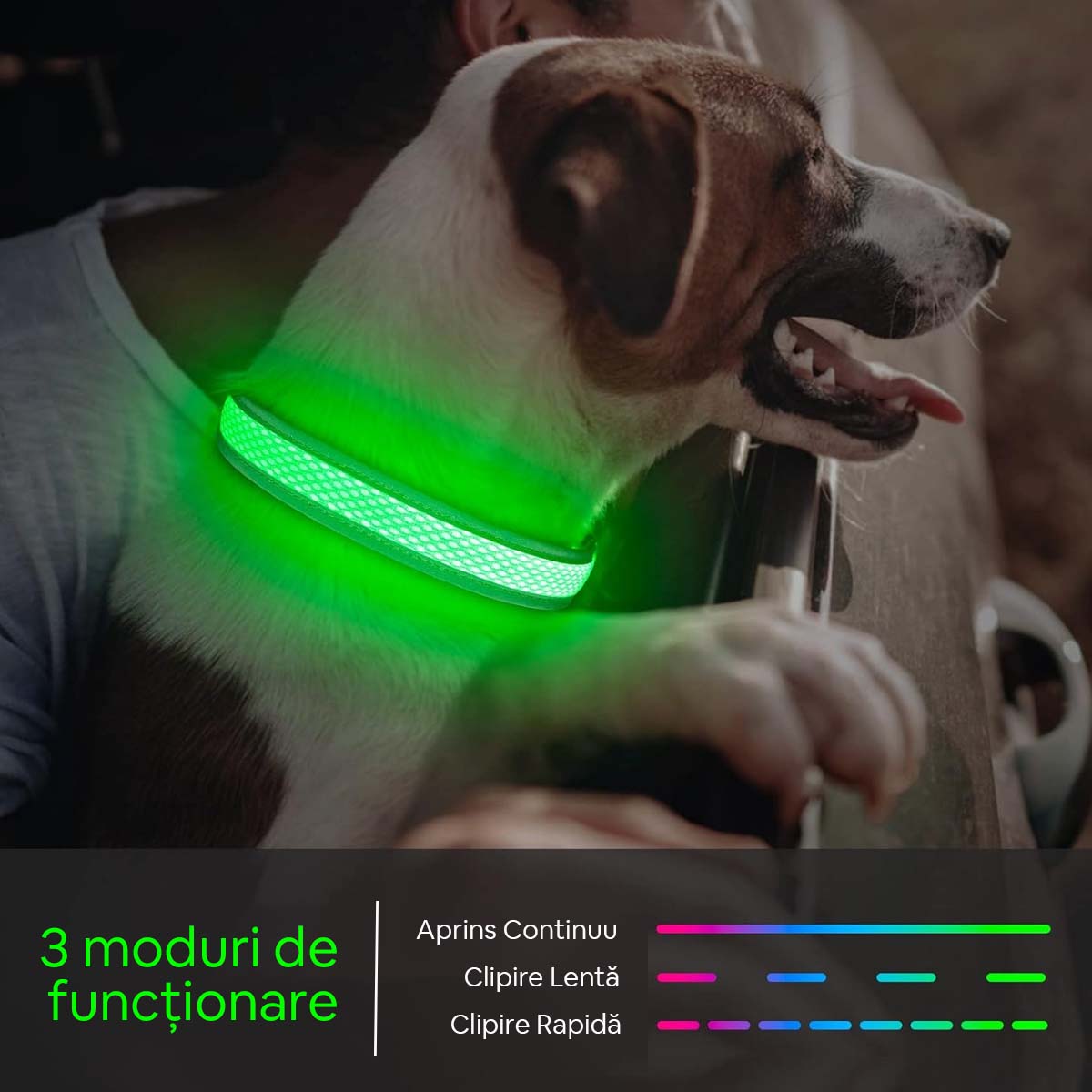 KPUPLOL Zgardă cu LED, Reîncarcabilă, Verde, L, 38 - 61 cm