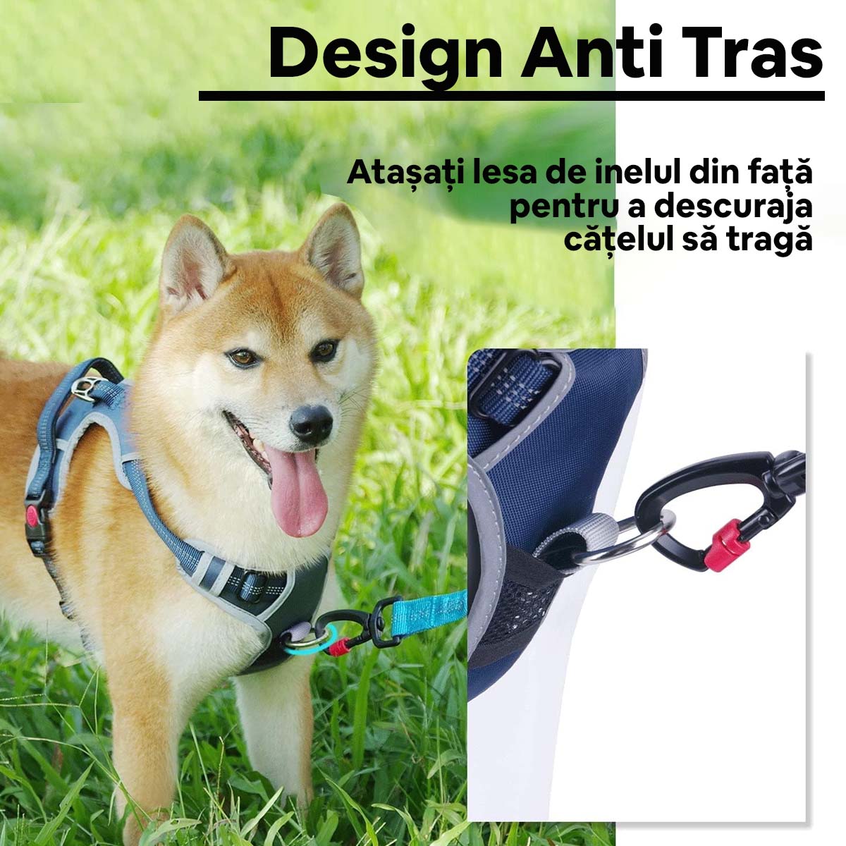 THINKPET Ham Anti-Tracțiune, Căptusit, Albastru Închis, S (33-63cm)