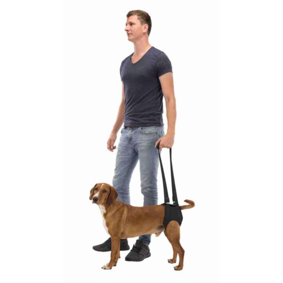 TRIXIE Walking Aid, ham reabilitare câini, neopren TRIXIE Walking Aid, M, ham reabilitare câini, neopren, ⌀ 55 - 65cm