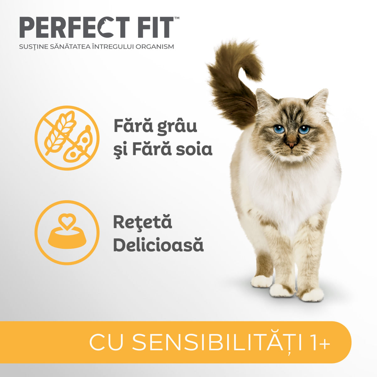 PERFECT FIT Cat Sensitive 1+, Curcan, hrană uscată pisici, sistem digestiv, 750g