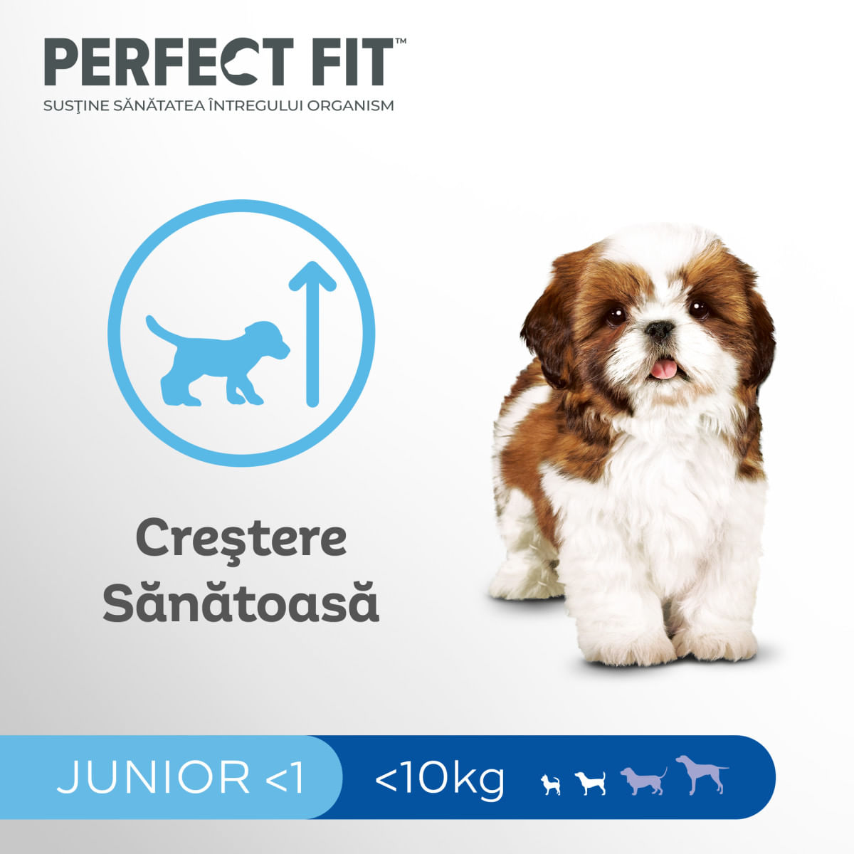 PERFECT FIT Dog Junior Small, XS-S, Pui, hrană uscată câini junior, 825g