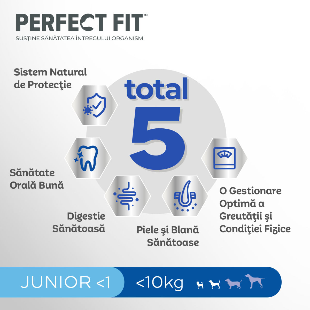 PERFECT FIT Dog Junior Small, XS-S, Pui, hrană uscată câini junior, 825g