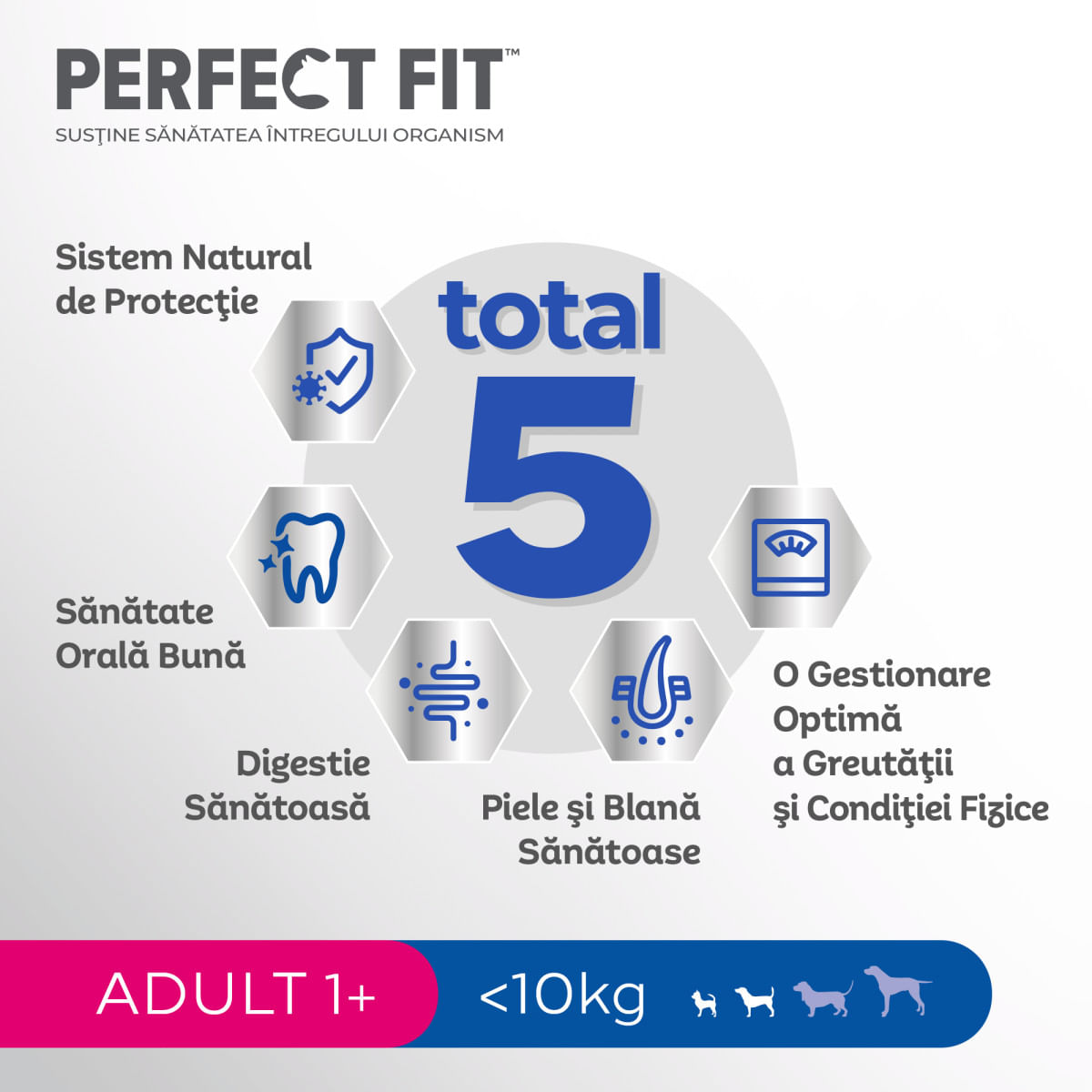PERFECT FIT Dog Adult Small, XS-S, Pui, hrană uscată câini, 825g