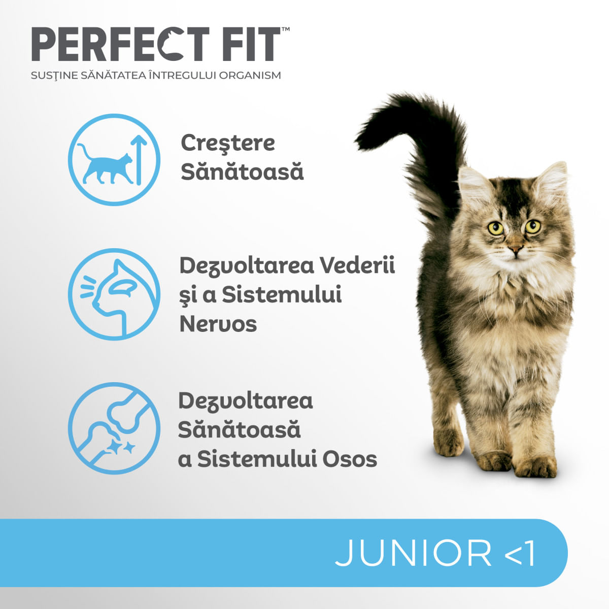 PERFECT FIT Kitten, Pui, hrană uscată pisici junior, 750g