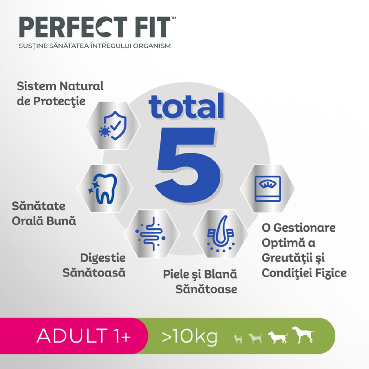 PERFECT FIT Dog Adult 1+, M, Pui, hrană uscată câini, 6kg - 3 | YEO