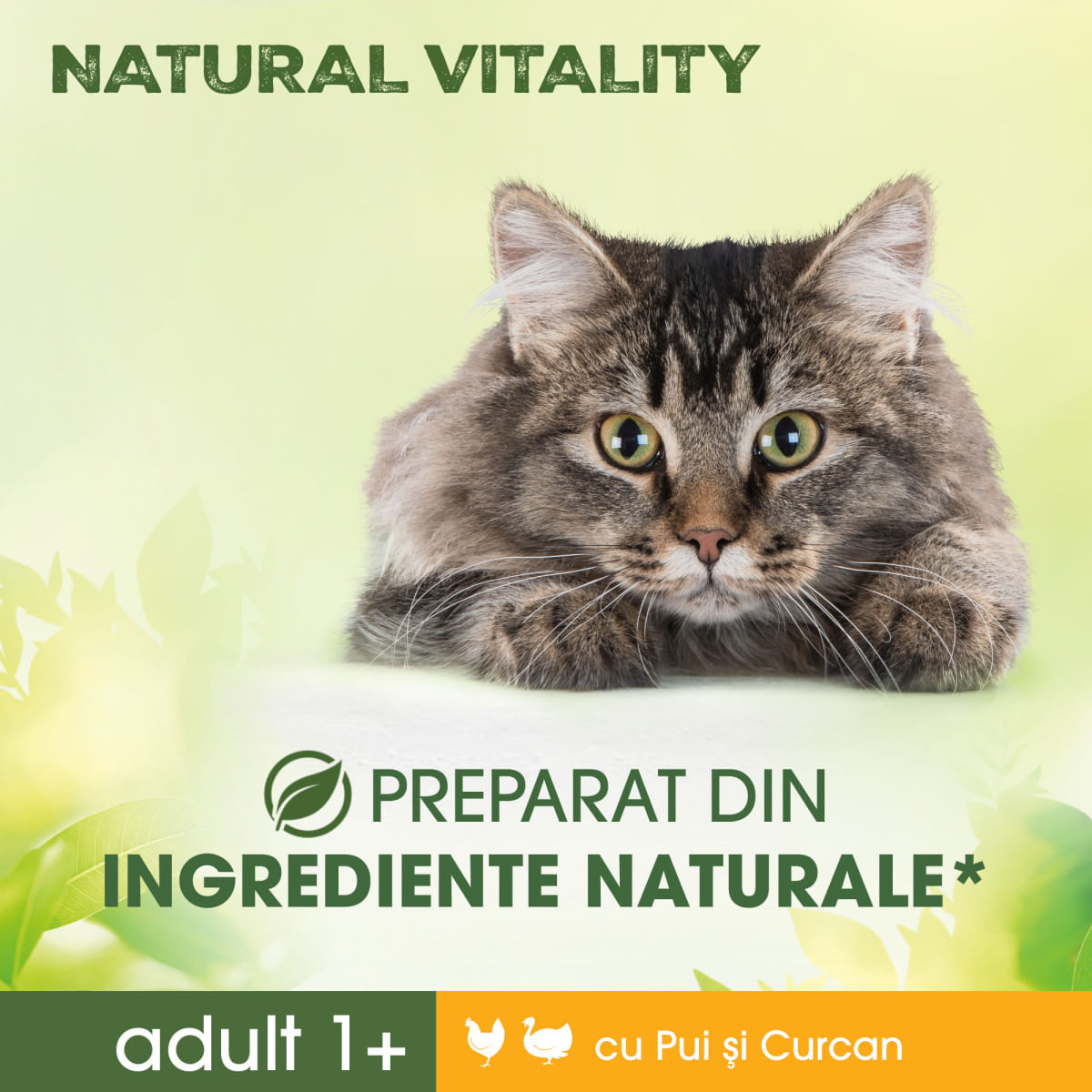 PERFECT FIT Natural Vitality, Pui și Curcan, hrană uscată pisici, 650g