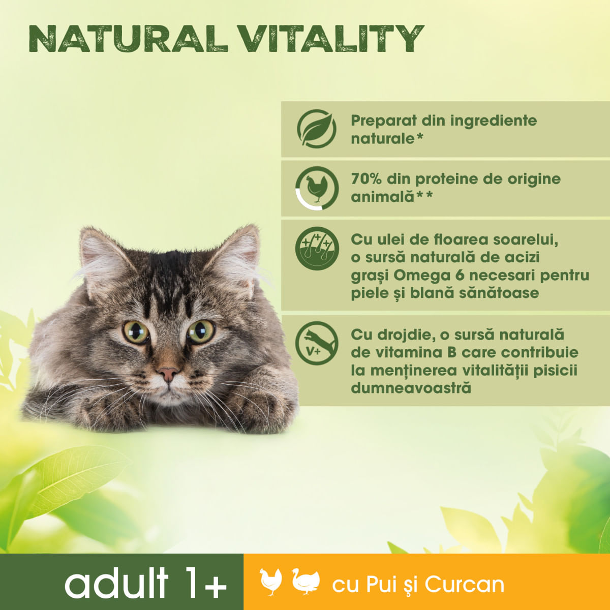 PERFECT FIT Natural Vitality, Pui și Curcan, hrană uscată pisici, 650g