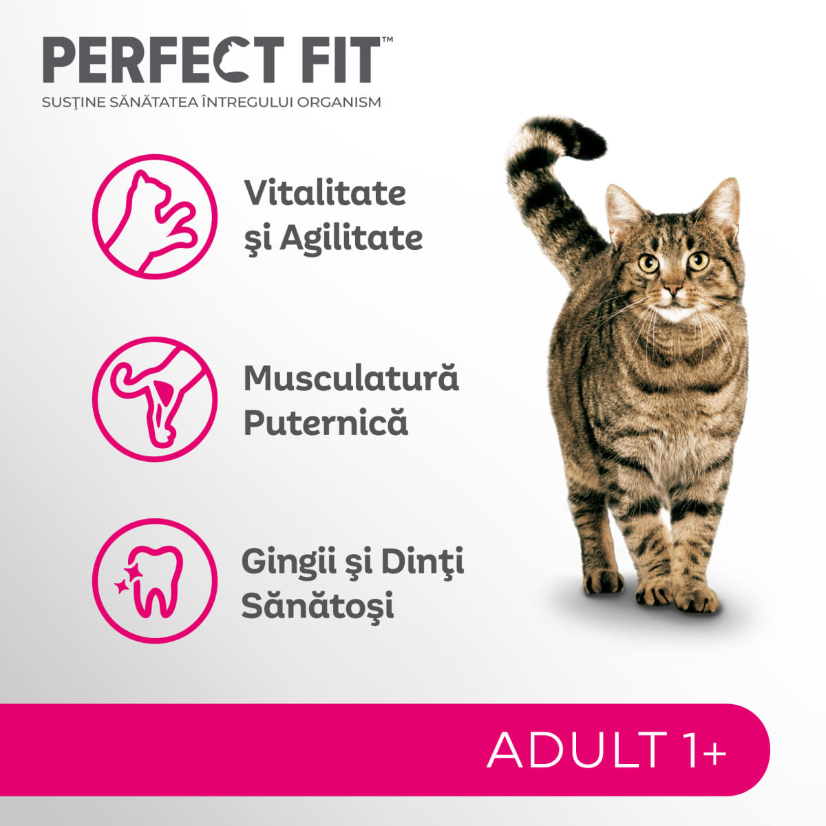 PERFECT FIT Cat Adult 1+, Somon, hrană uscată pisici, 750g