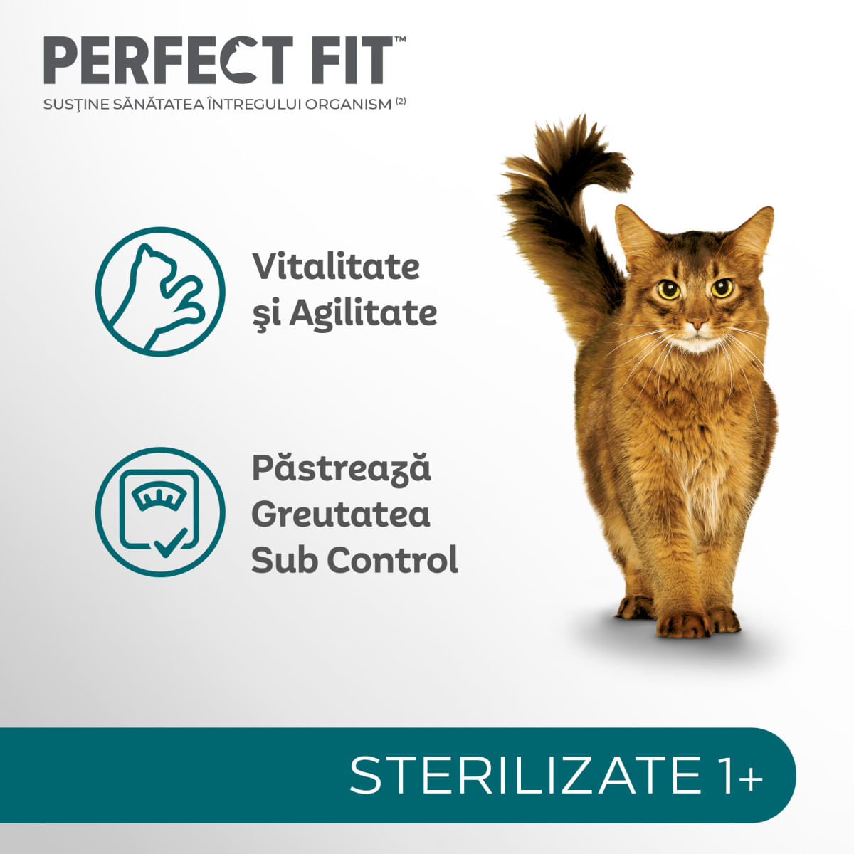 PERFECT FIT Cat Sterile 1+, Pui, hrană uscată pisici sterilizate, 1.4kg - 3 | YEO