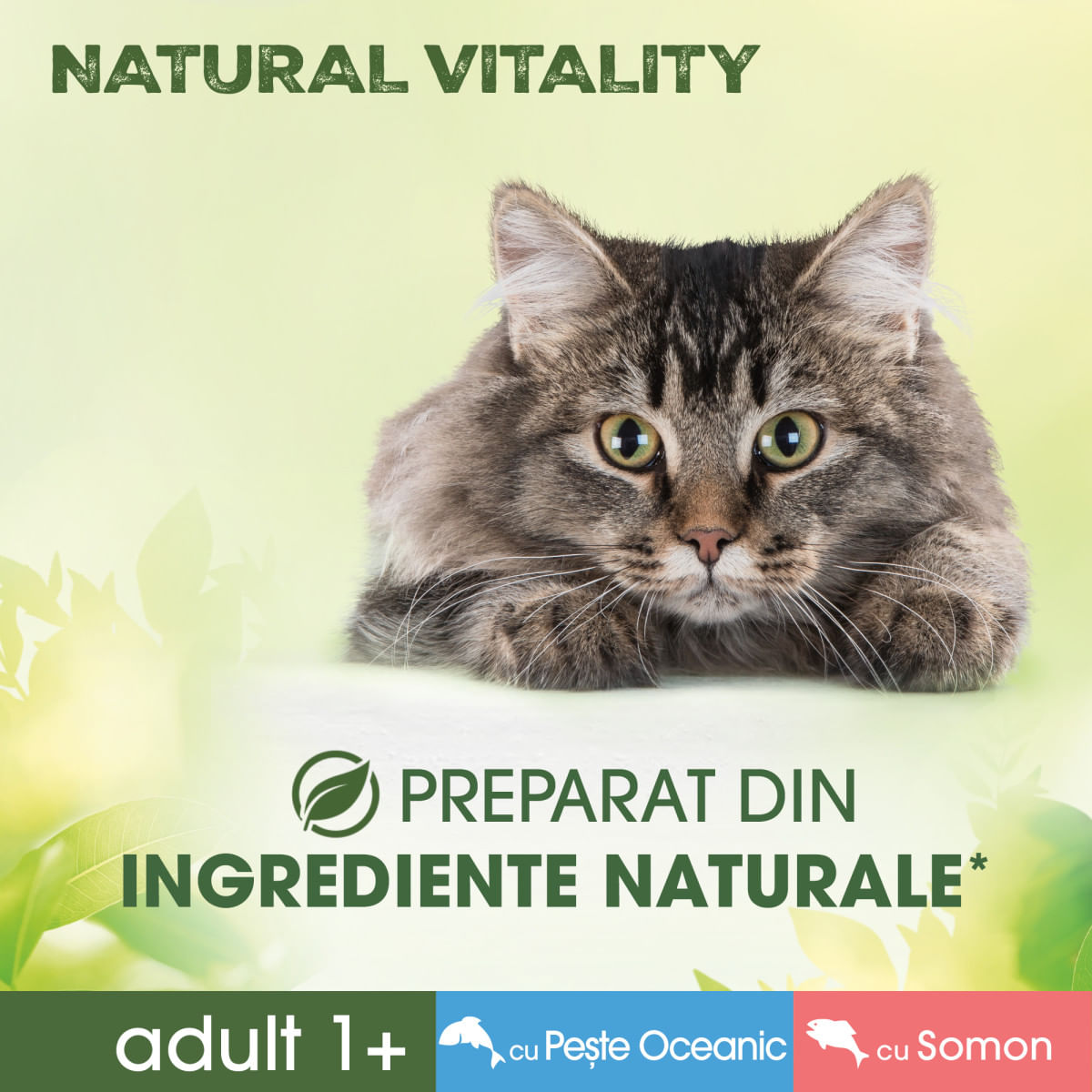 PERFECT FIT Natural Vitality, Somon și Pește, plic hrană umedă fără cereale pisici, (în sos), multipack, 50g x 6buc