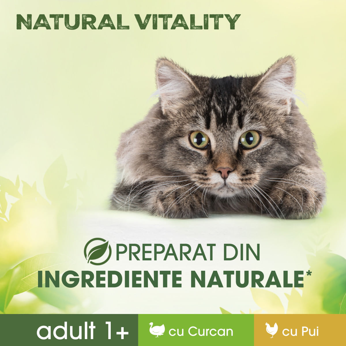 PERFECT FIT Natural Vitality, Curcan și Pui, plic hrană umedă fără cereale pisici, (în sos), multipack, 50g x 6buc