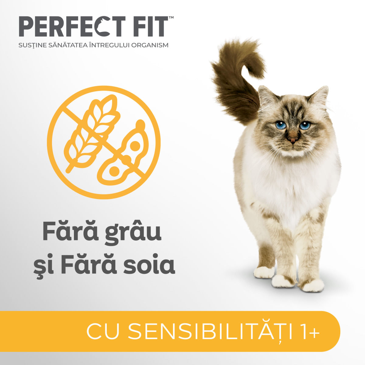 PERFECT FIT Cat Sensitive 1+ , Pui, plic hrană umedă pisici, sistem digestiv, (în sos), bax, 85g x 12buc