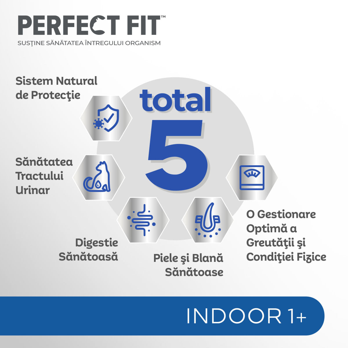 PERFECT FIT Cat Indoor 1+, Pui, plic hrană umedă pisici, (în sos), bax, 85g x 12buc