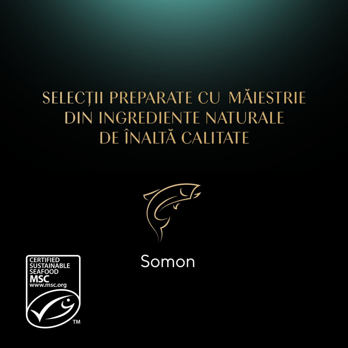 SHEBA Select Slices, Somon, plic hrană umedă pisici, (în sos), bax, 85g x 28buc