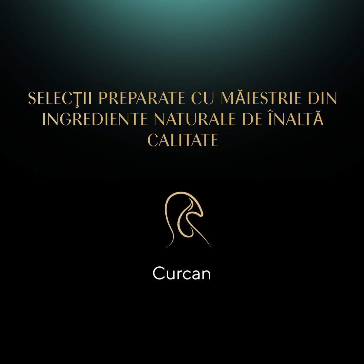 SHEBA Nature&#039;s Collection, Curcan și Legume, plic hrană umedă fără cereale pisici, (în sos), 85g