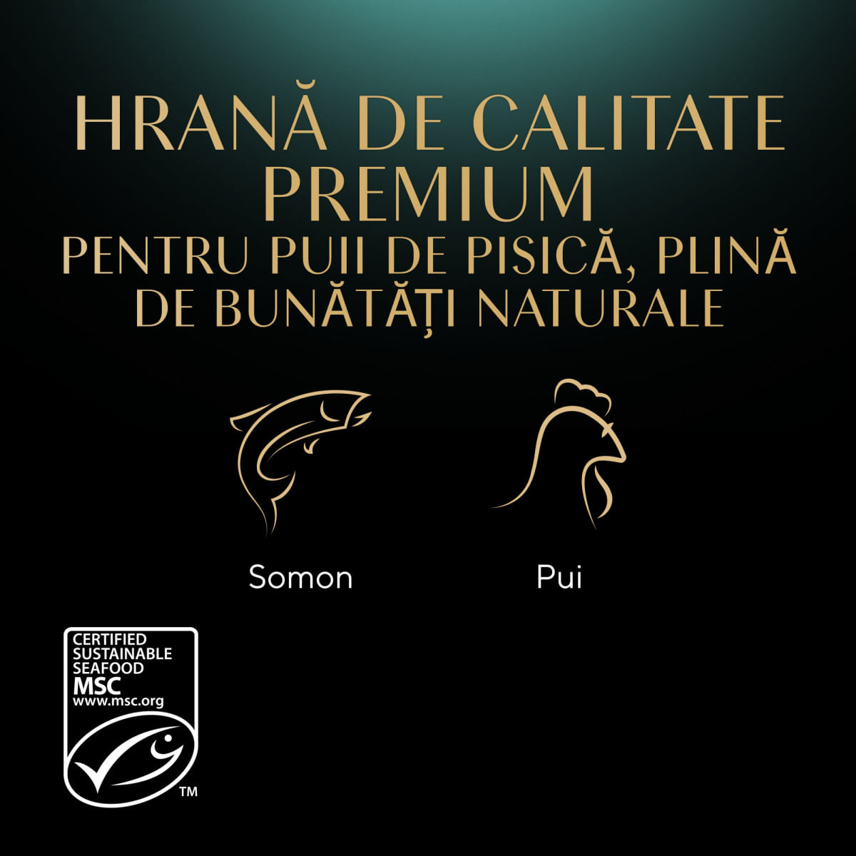SHEBA Kitten Selectie Mixta, Somon și Pui, plic hrană umedă pisici junior, (în sos), multipack, 85g