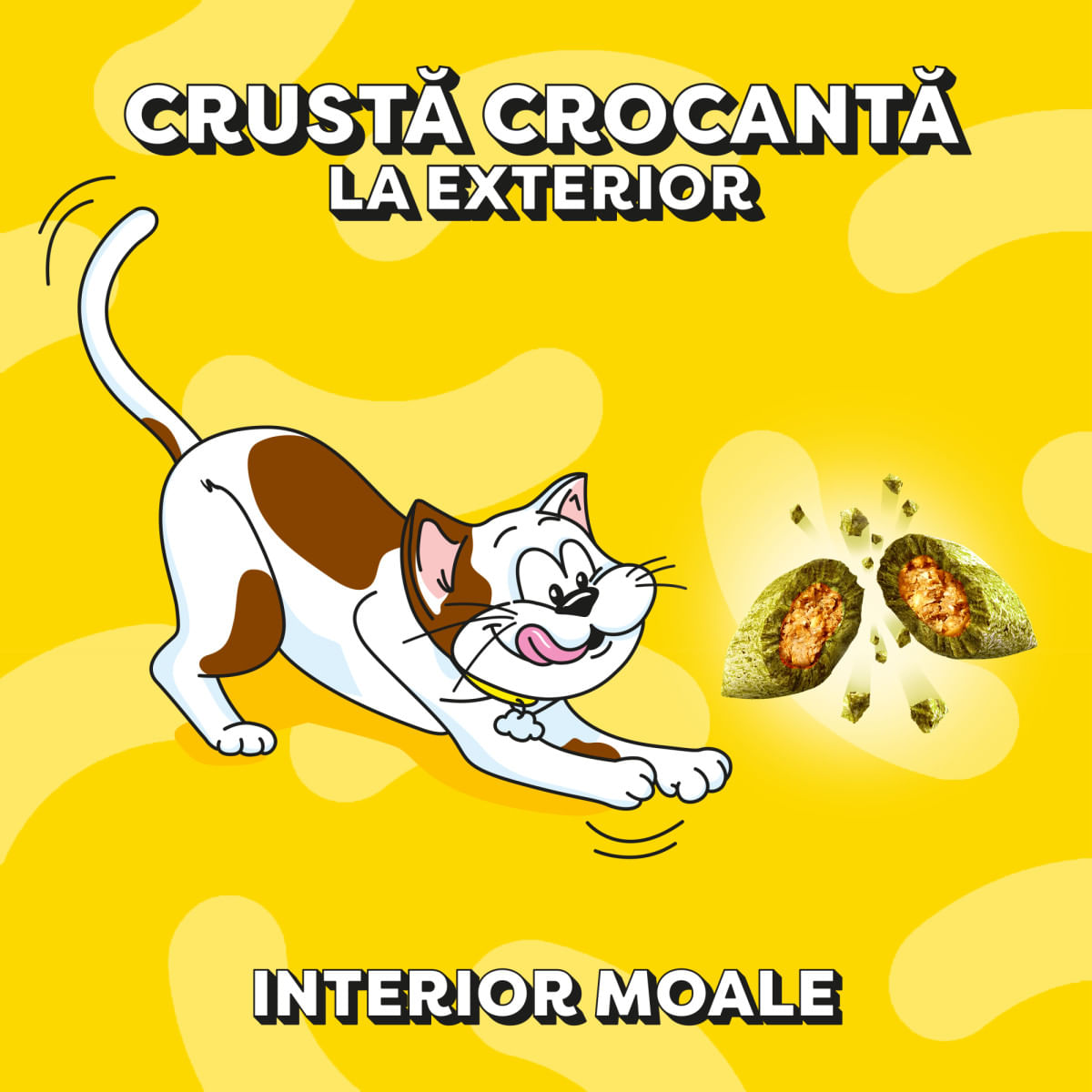 DREAMIES Catnip, punguță recompense pisici, 60g