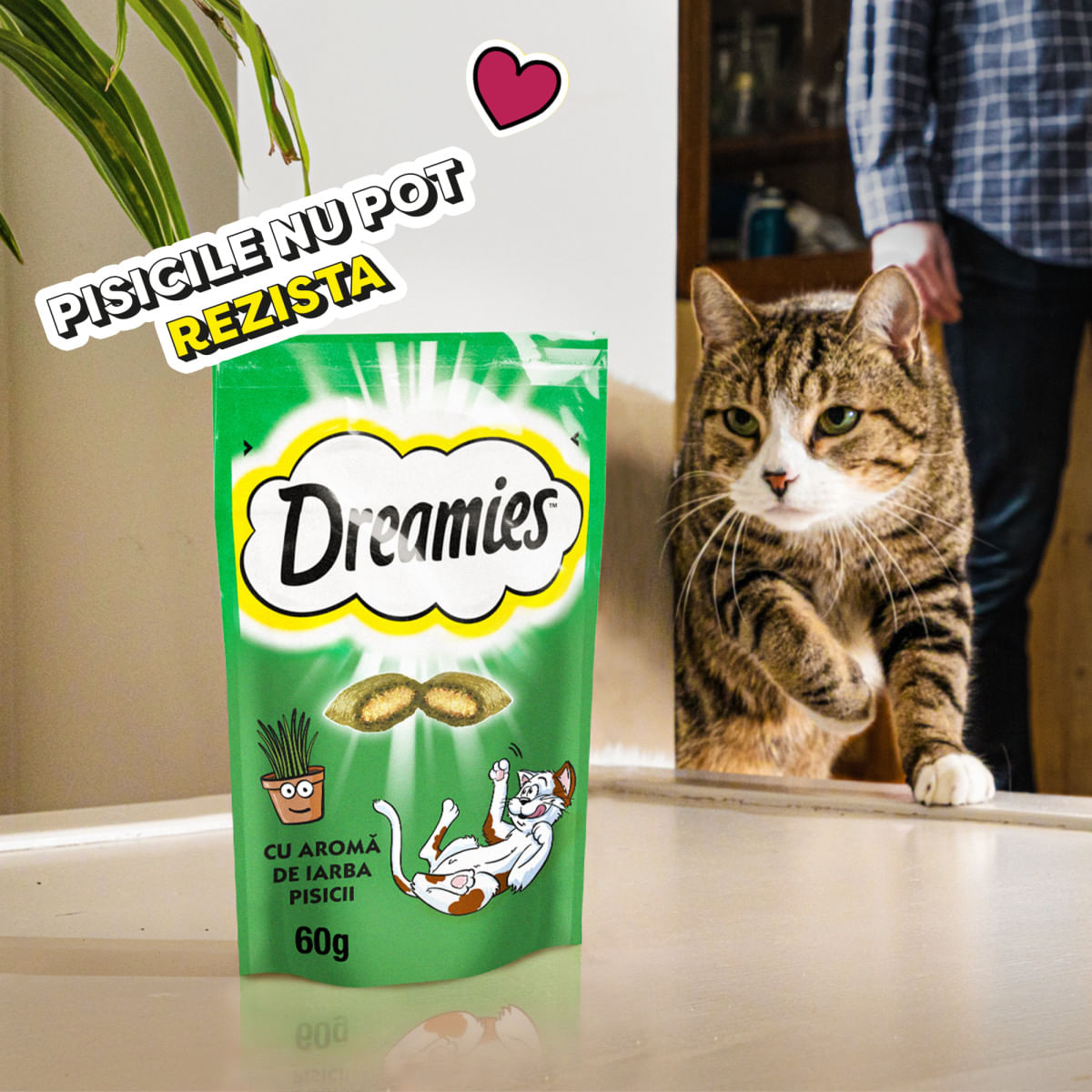 DREAMIES Catnip, punguță recompense pisici, 60g