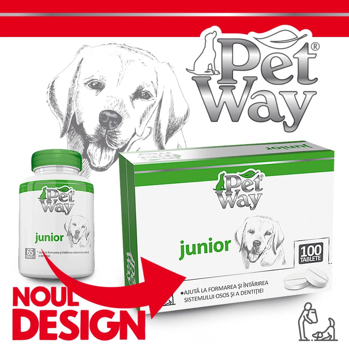 PETWAY Junior, XS-XL, supliment sistem osos câini junior, cutie, 100 comprimate