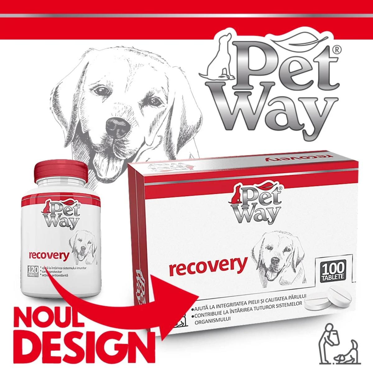 PETWAY Recovery, XS-XL, supliment convalescență câini, cutie, 100 comprimate - 1 | YEO