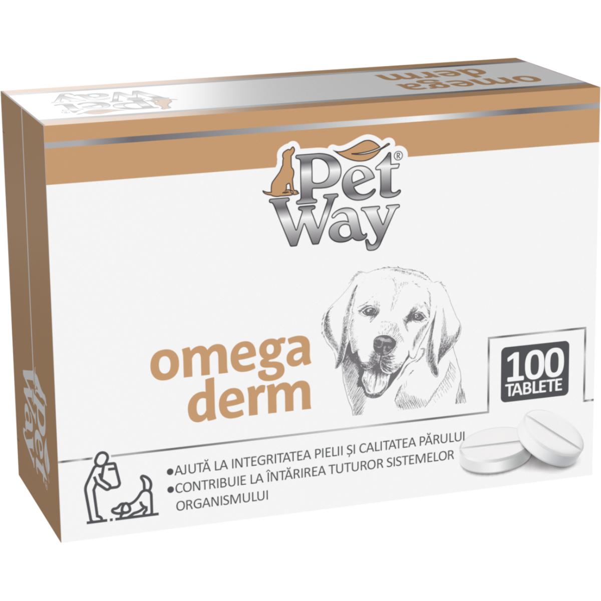 PETWAY Omega Derm, XS-XL, supliment piele & blană câini, cutie, 100 comprimate - 2 | YEO