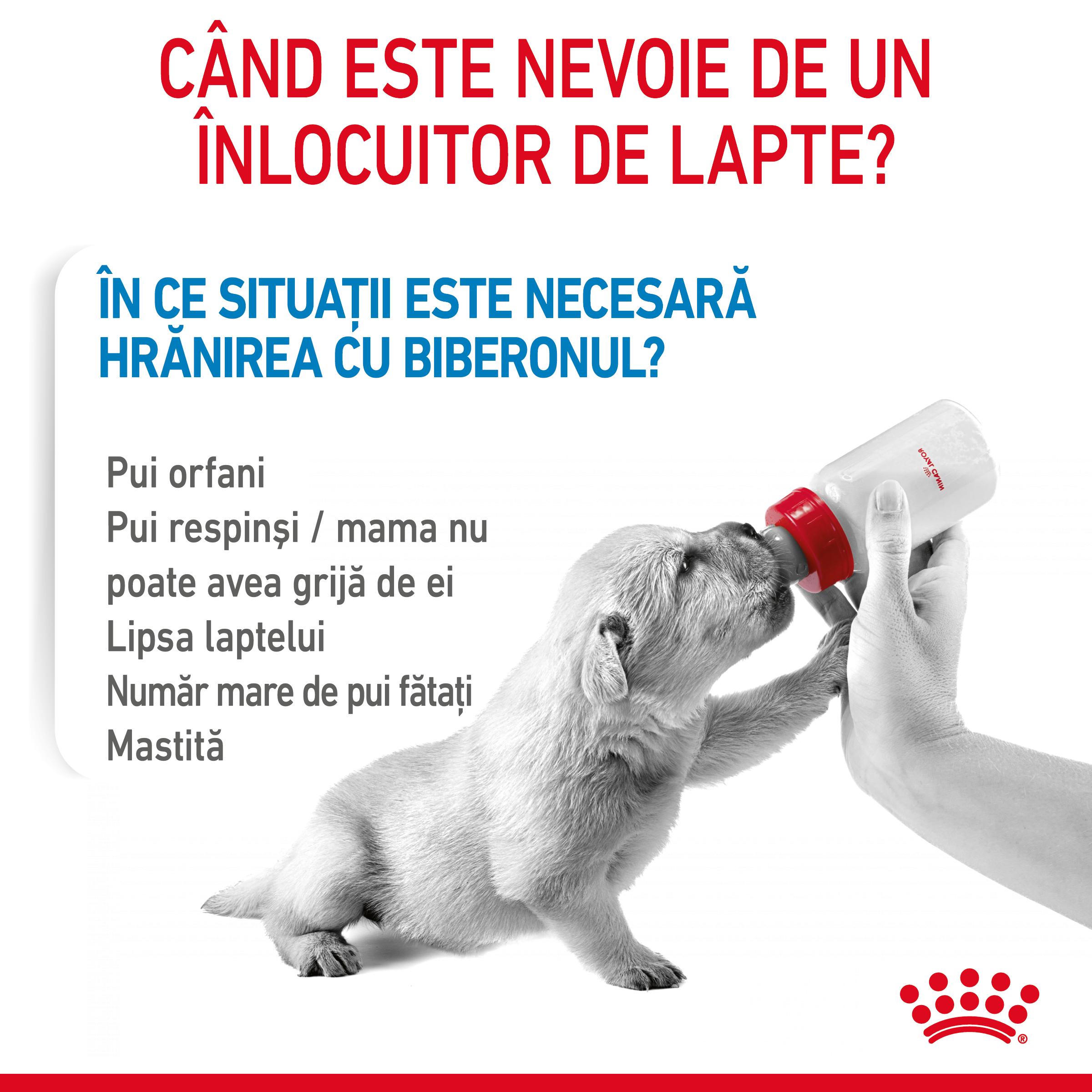 ROYAL CANIN Babydog Milk, înlocuitor lapte matern câini, 400g - 3 | YEO