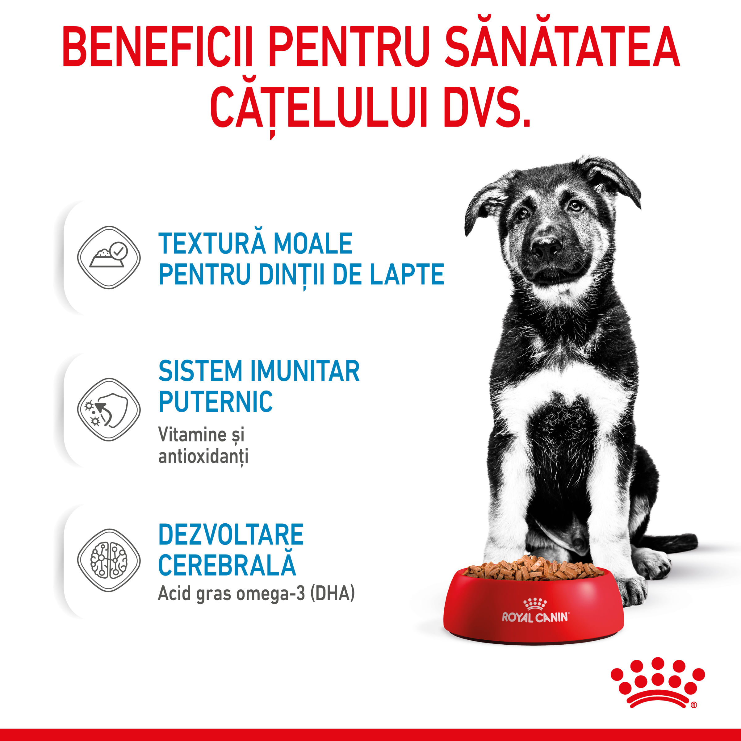 ROYAL CANIN Maxi Puppy, hrană umedă câini junior, (în sos), 140g - 3 | YEO