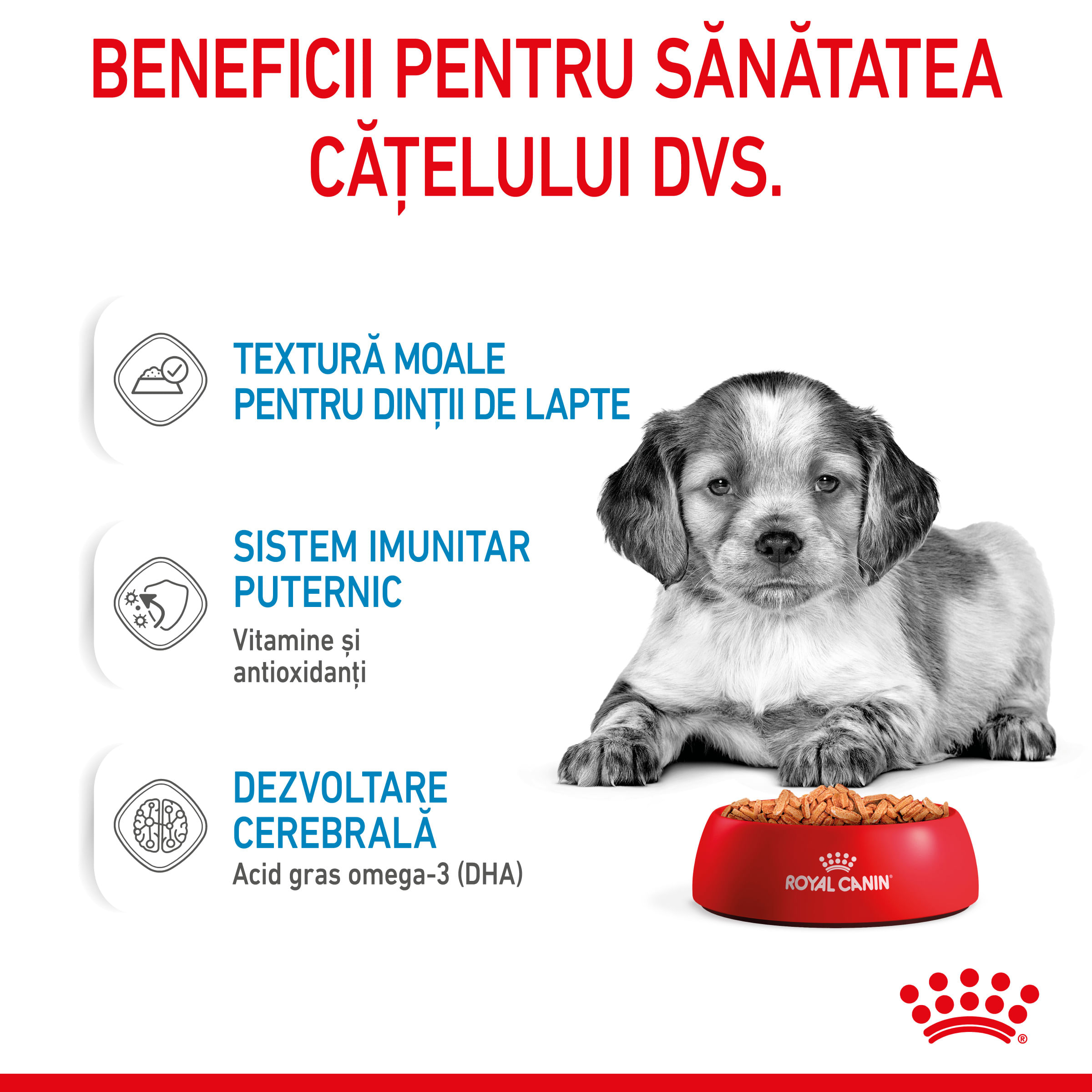 ROYAL CANIN Medium Puppy, hrană umedă câini junior, (în sos), 140g - 3 | YEO