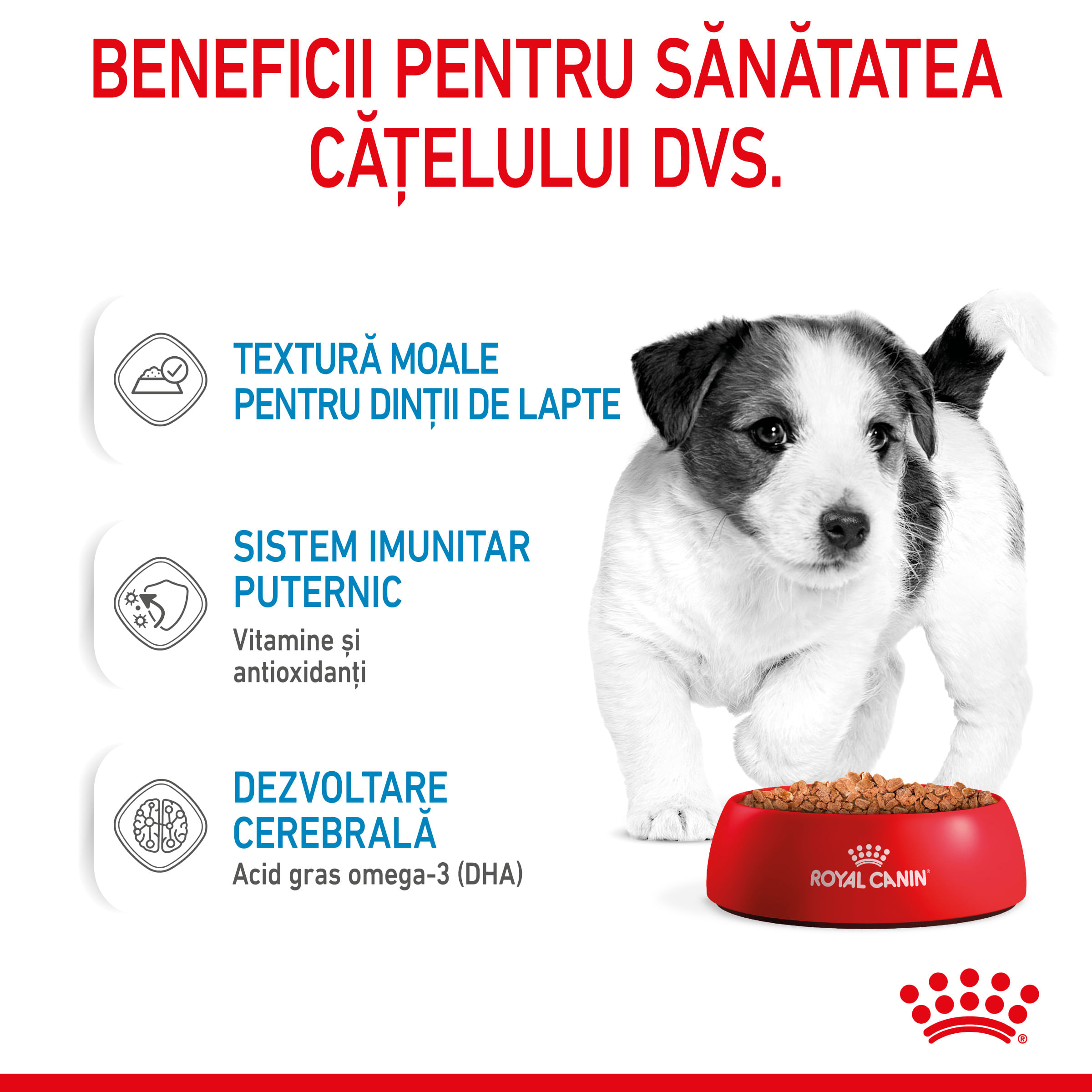 ROYAL CANIN Mini Puppy, hrană umedă câini junior, (în sos), 85g - 3 | YEO