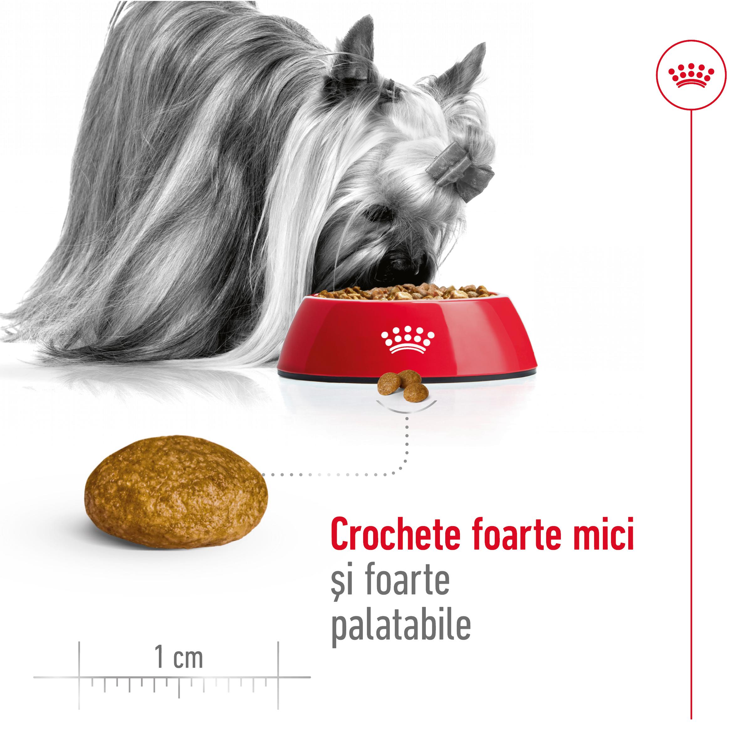 ROYAL CANIN X-Small Adult, hrană uscată câini, 500g