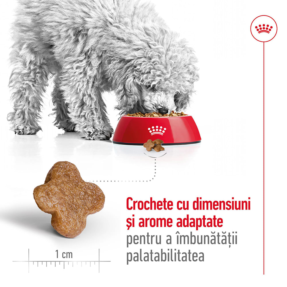 ROYAL CANIN Mini Adult 8+, hrană uscată câini, 8kg