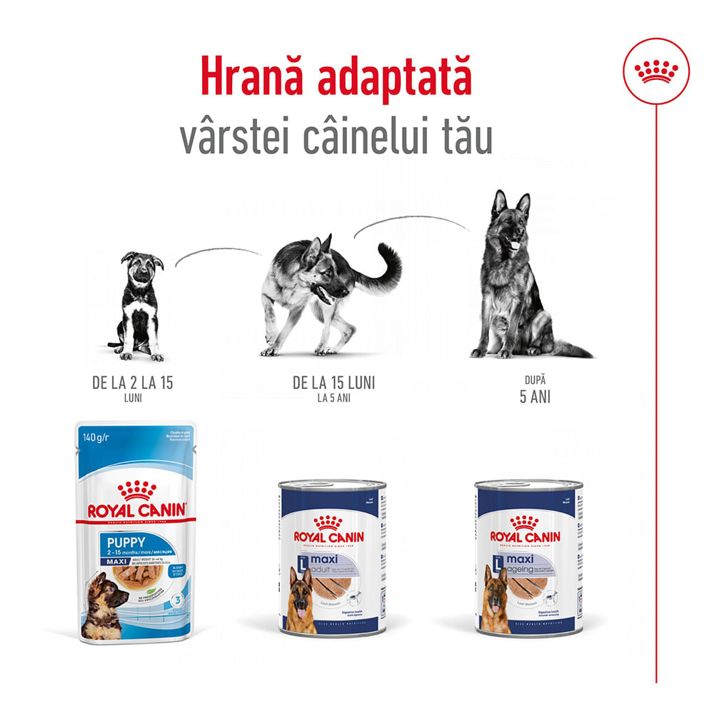 ROYAL CANIN Maxi Adult hrană umedă câini (pate), 410g