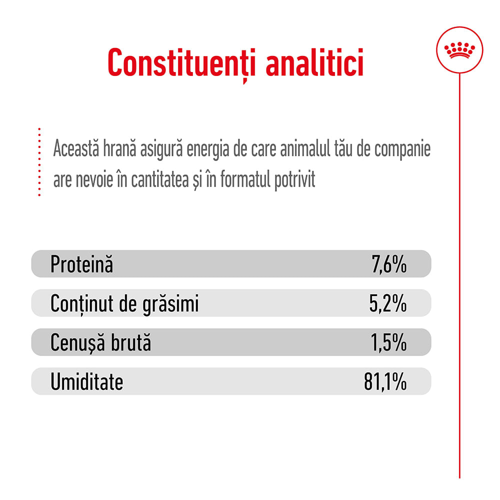 ROYAL CANIN Mini Adult, hrană umedă câini, (în sos), 85g