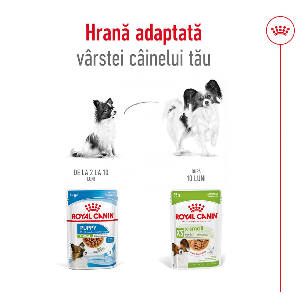 ROYAL CANIN X-Small Adult hrană umedă câini (în sos), 85g