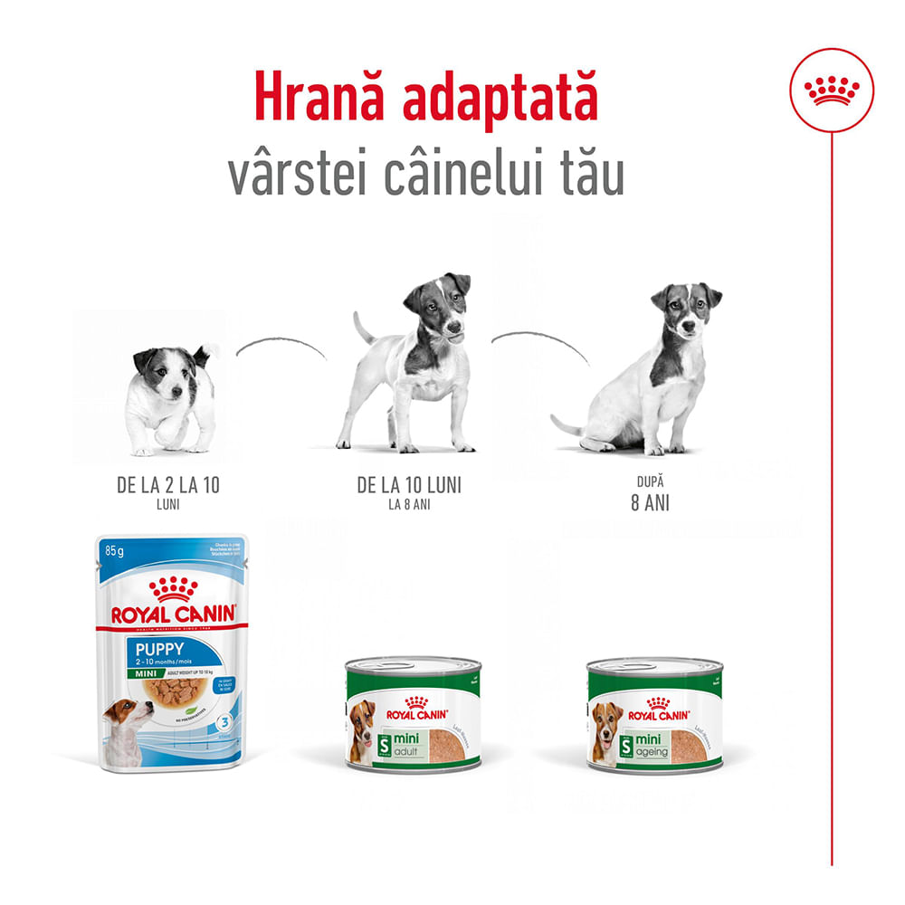 ROYAL CANIN Mini Adult hrană umedă câini (pate), 195g