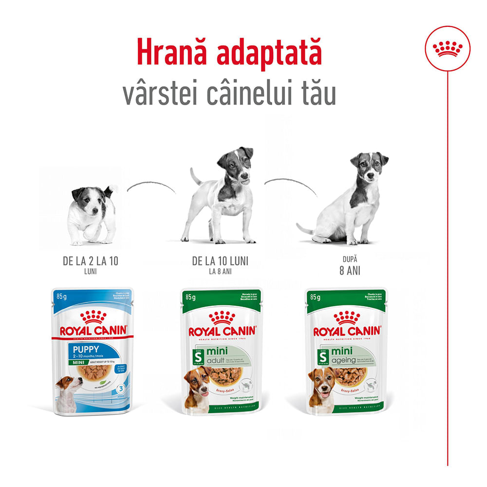 ROYAL CANIN Mini Ageing, hrană umedă câini senior, (în sos), 85g