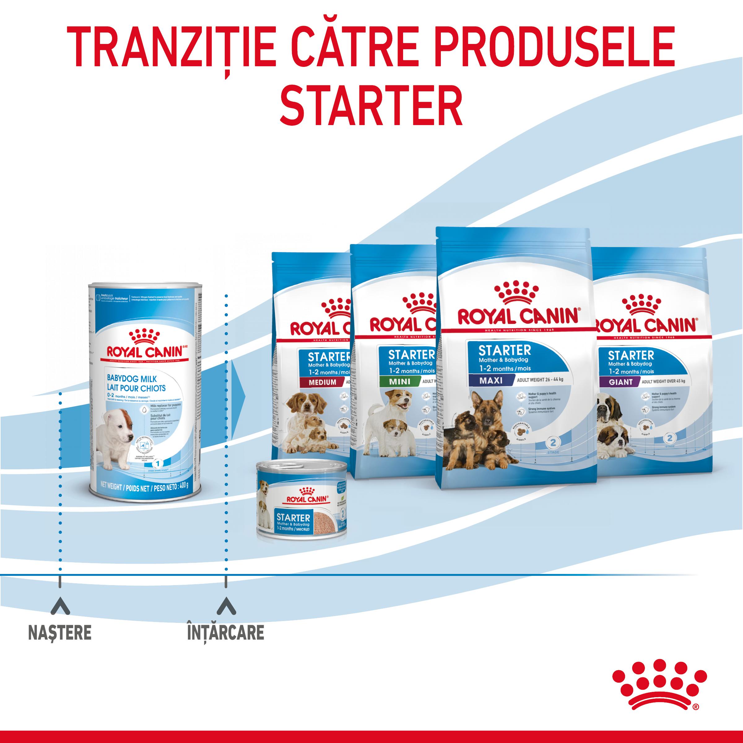 ROYAL CANIN Babydog Milk, înlocuitor lapte matern câini, 400g