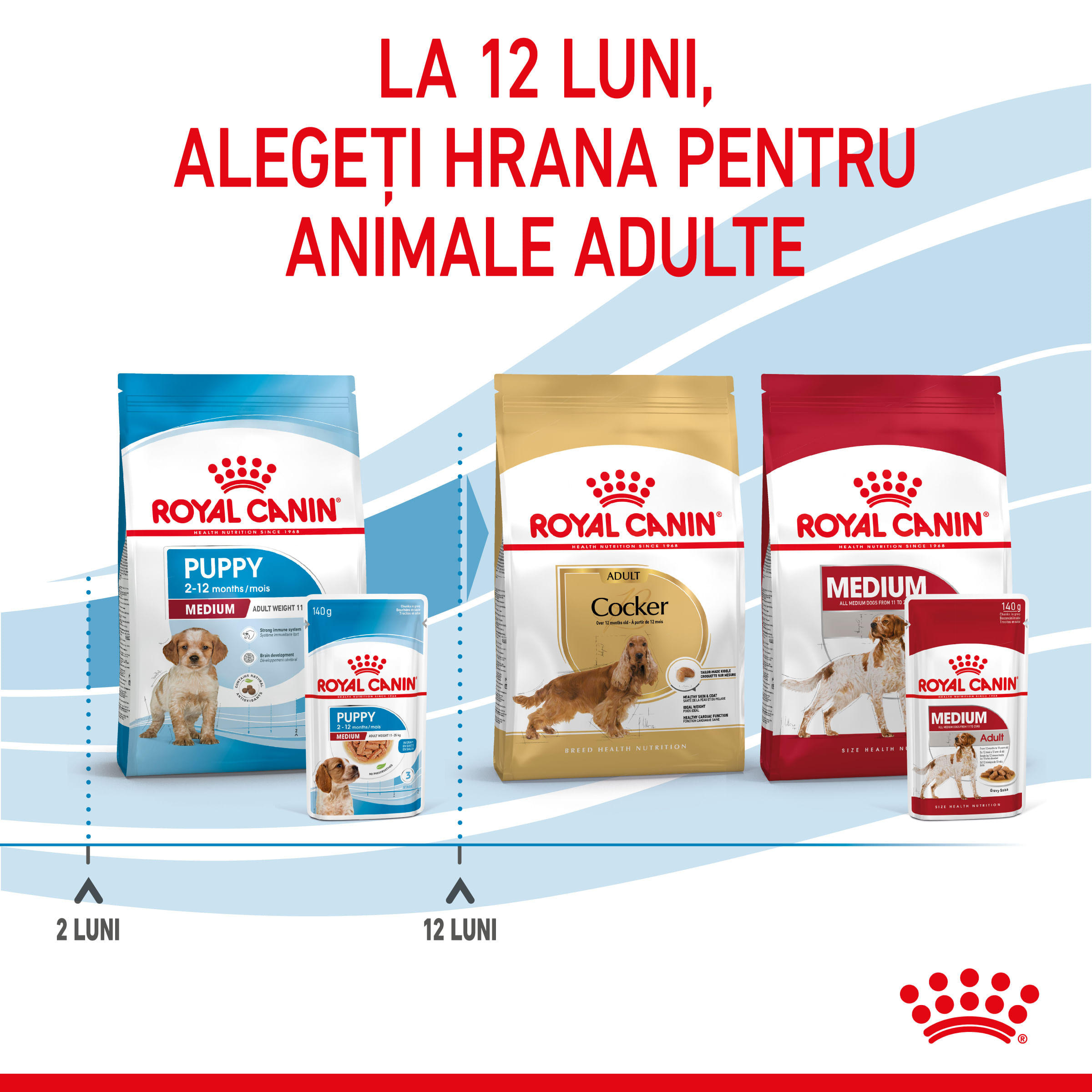 ROYAL CANIN Medium Puppy, hrană umedă câini junior, (în sos), 140g