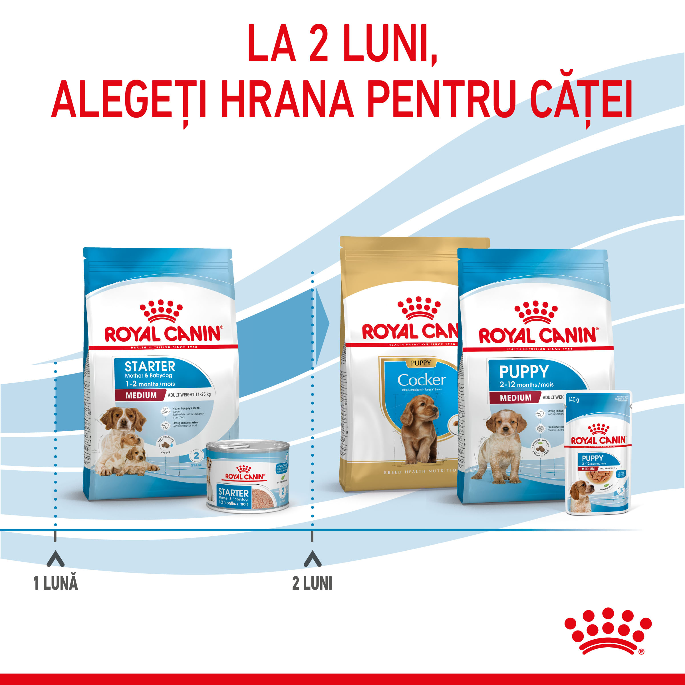 ROYAL CANIN Medium Starter Mother & Babydog, mama și puiul, hrană uscată câini, 4kg