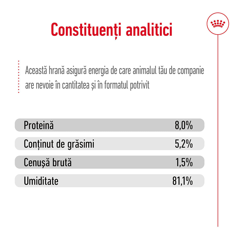 ROYAL CANIN X-Small Adult hrană umedă câini (în sos), bax, 85g x 12buc